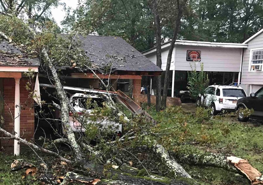 A tree fell on a house and car Saturday on Columbus Avenue after storms rolled through Neshoba County with 80 m.p.h. gusts.