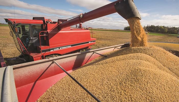 Mississippi farmers generated an estimated agricultural value of $7.35 billion in 2020, a 5% increase from 2019 saw soybeans top forestry for the No. 2 spot behind poultry.
